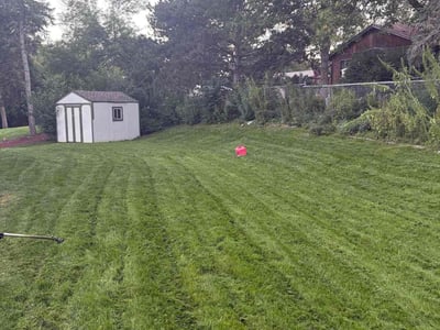 Lawn care service in Minneapolis, 55431