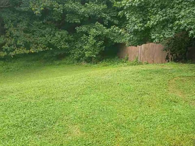 Lawn care service in Spartanburg, 29301