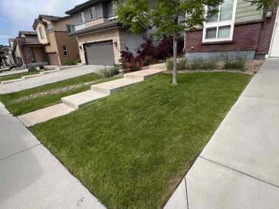 Lawn care service in Parker, 80134