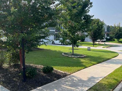 Lawn care service in McDonough, 30252