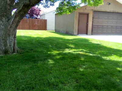 Lawn care service in Chicago, 60707