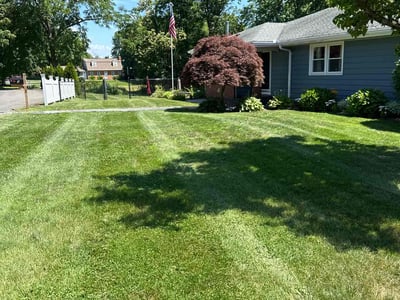Lawn care service in Cromwell, 06416