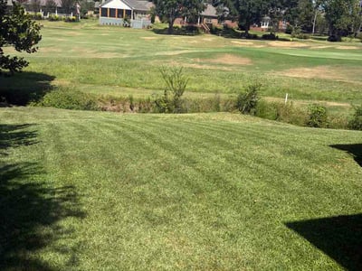 Lawn care service in Brandon, 39047