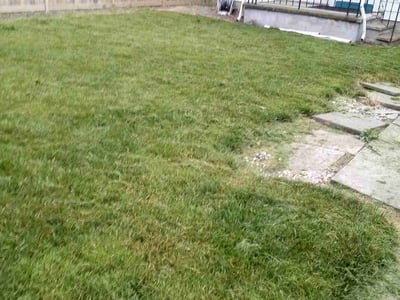Lawn care service in Lansing, 48915