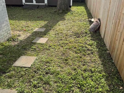 Lawn care service in Memphis, 38117