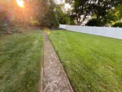 Lawn care service in Fair Lawn, 07410