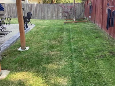 Lawn care service in Everett, 98203