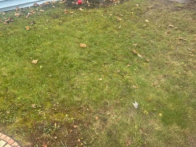 Lawn care service in , 