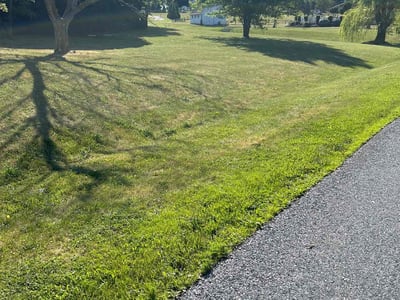 Lawn care service in Fogelsville, 18051
