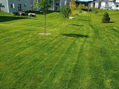 Lawn care service in Woodbury, 55129