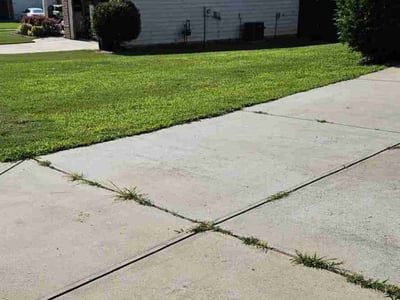 Lawn care service in Jonesboro, 30236