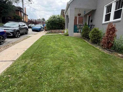 Lawn care service in Greensburg, 15601
