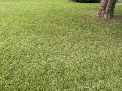 Lawn care service in Bessemer, 35022