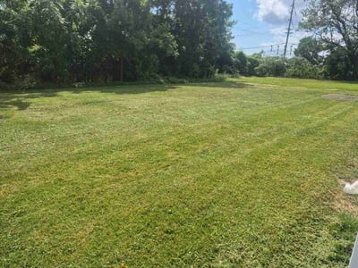Lawn care service in Cheektowaga, 14225