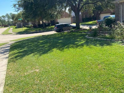 Lawn care service in Pearland, 77584