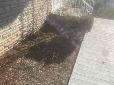 Lawn care service in Latham, 12110