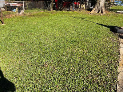 Lawn care service in Bossier City, 71112