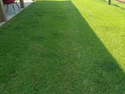 Lawn care service in North Myrtle Beach, 29582