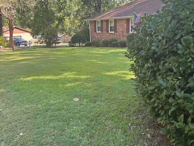 Lawn care service in Columbia, 29212