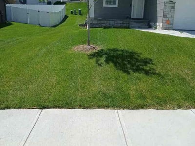 Lawn care service in Papillion, 68046