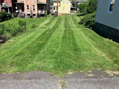 Lawn care service in Scranton, 18505