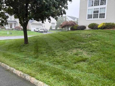 Lawn care service in Jefferson, 07849