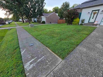 Lawn care service in Louisville, 40291
