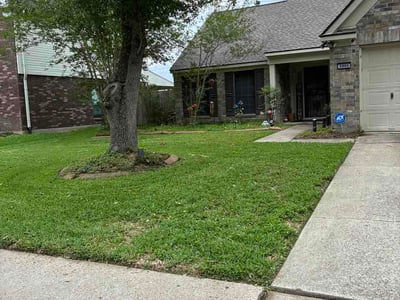 Lawn care service in Pearland, 77584