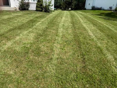 Lawn care service in Plainfield, 60586