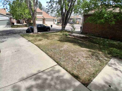 Lawn care service in Denver, 80231