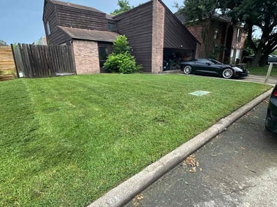 Lawn care service in Stafford, 77477