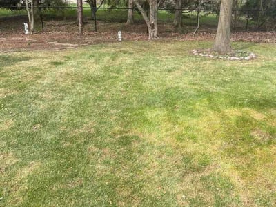 Lawn care service in Naperville, 60540