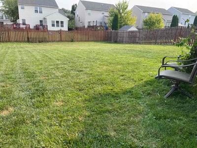 Lawn care service in Fairborn, 45324