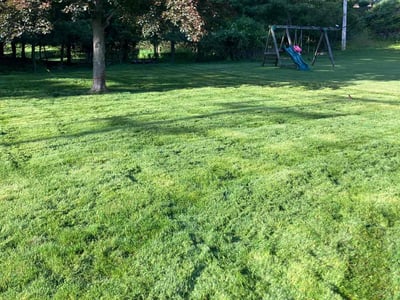 Lawn care service in Pittsburgh, 15209
