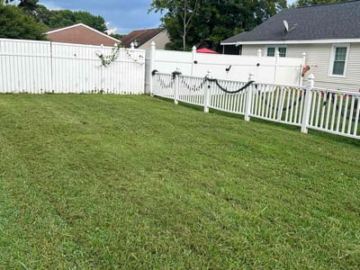 Lawn care service in Norfolk, 23513