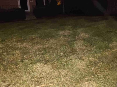 Lawn care service in , 