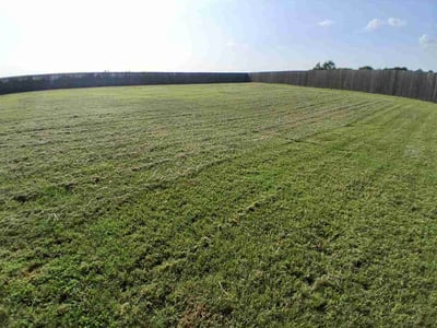 Lawn care service in Bryan, 77808