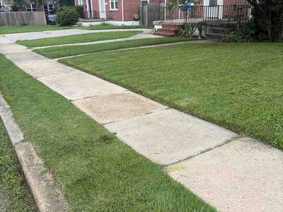 Lawn care service in Baltimore, 21234