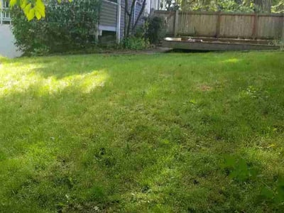 Lawn care service in Lakewood, 98499