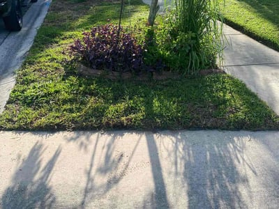 Lawn care service in Riverview, 33569