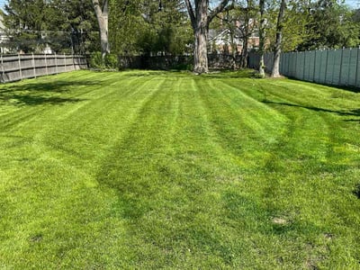 Lawn care service in Hinsdale, 60521