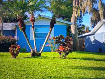 Lawn care service in New Port Richey, 34653