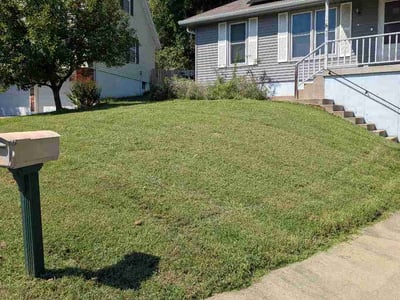 Lawn care service in Independence, 64050