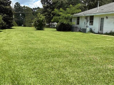 Lawn care service in Raymond, 39154