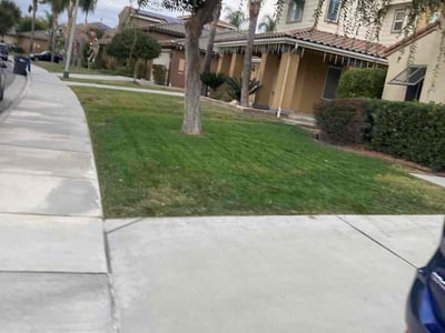 Lawn care service in Winchester, 92596
