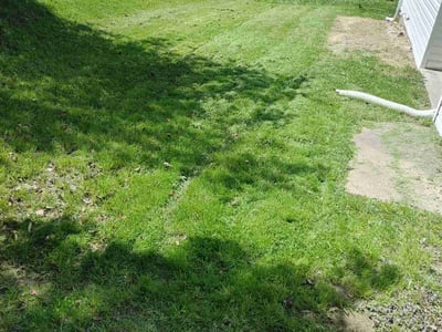 Lawn care service in , 