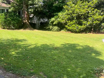 Lawn care service in Atlanta, 30305