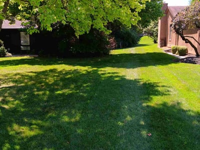 Lawn care service in Dayton, 45415