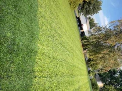 Lawn care service in Kennewick, 99336
