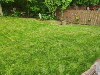 Lawn care service in Hilliard, 43026